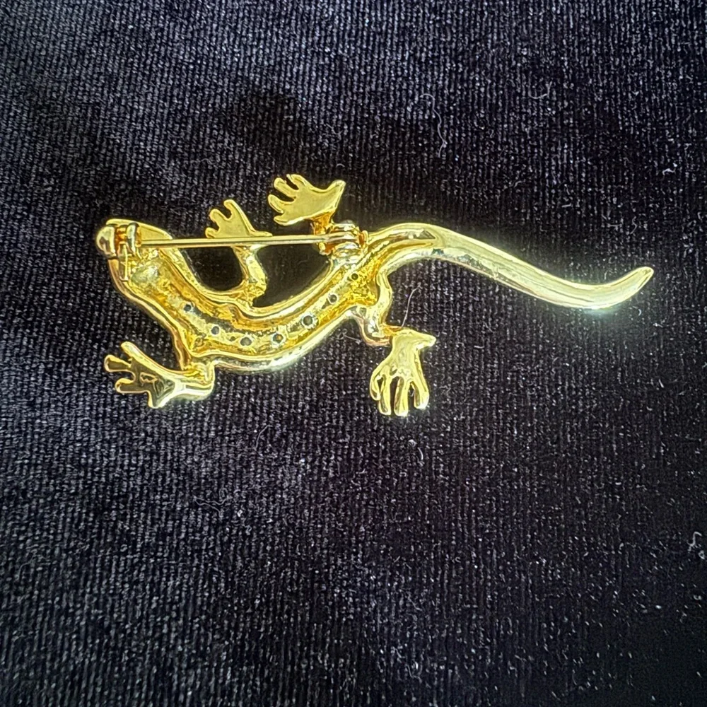 Salamander brooch